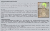 Impermeabilizzazione tramite iniezioni di bentonite o resine speciali